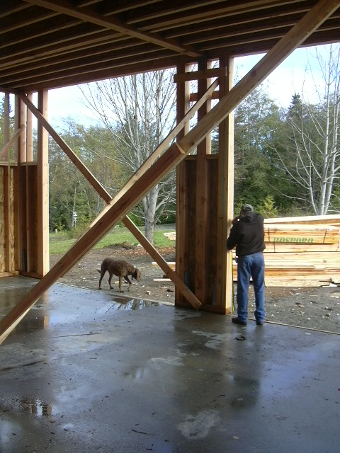 barn-construction-009.jpg