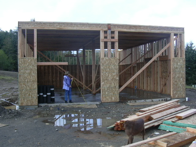 barn-construction-025.jpg